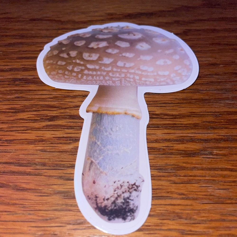 Colorful 13 Mushroom Sticker Set - Picture 10 of 14